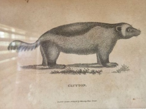 ./James_Heath_1801_Glutton_1781503589724