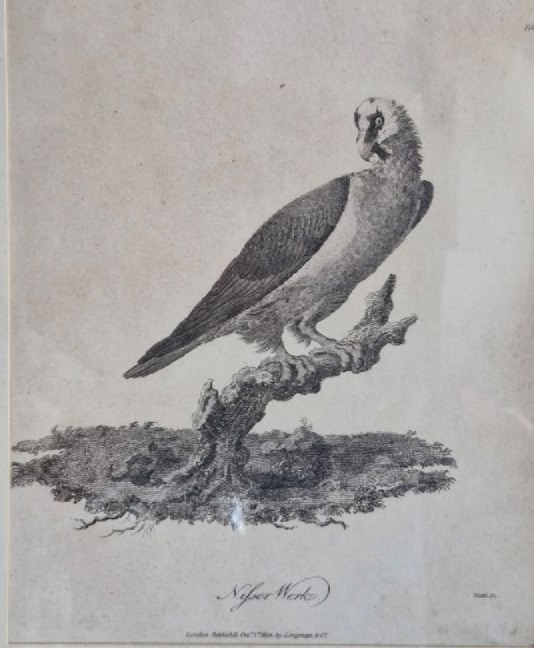 ./James_Heath_1804_-_Nisser_Werk_1781504164583