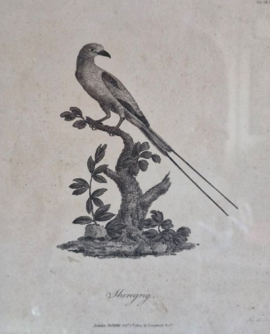 ./James_Heath_1804_-_Sheregrig_1781504321201