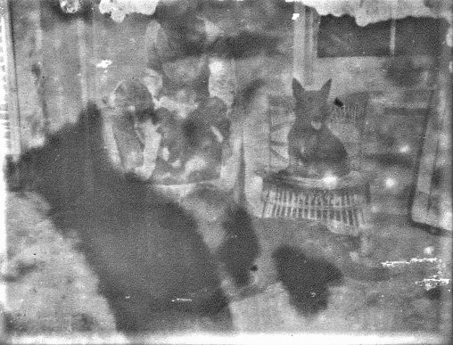 Solomon and Wasp 1910 Heath-Caldwell