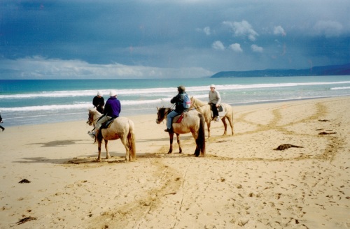 ./Horse_Ridng_small_1791757934975